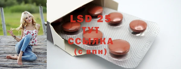 прущие грибы Вязьма