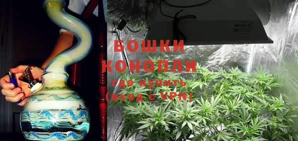 прущие грибы Вязьма
