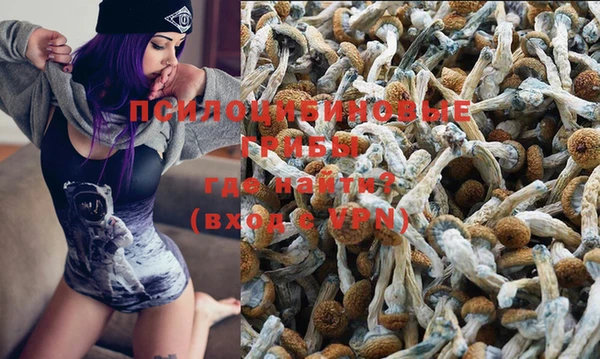 прущие грибы Вязьма