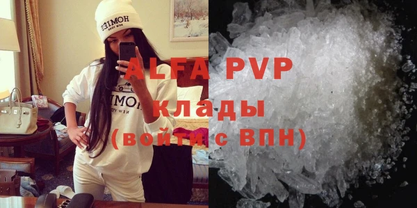 прущие грибы Вязьма