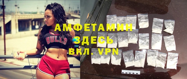 прущие грибы Вязьма