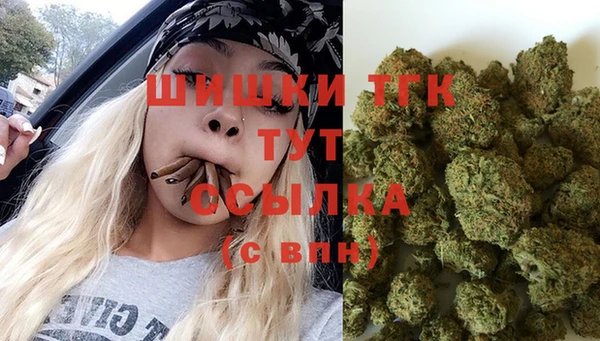 спиды Горнозаводск