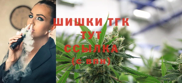 спиды Горнозаводск