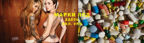 прущие грибы Вязьма